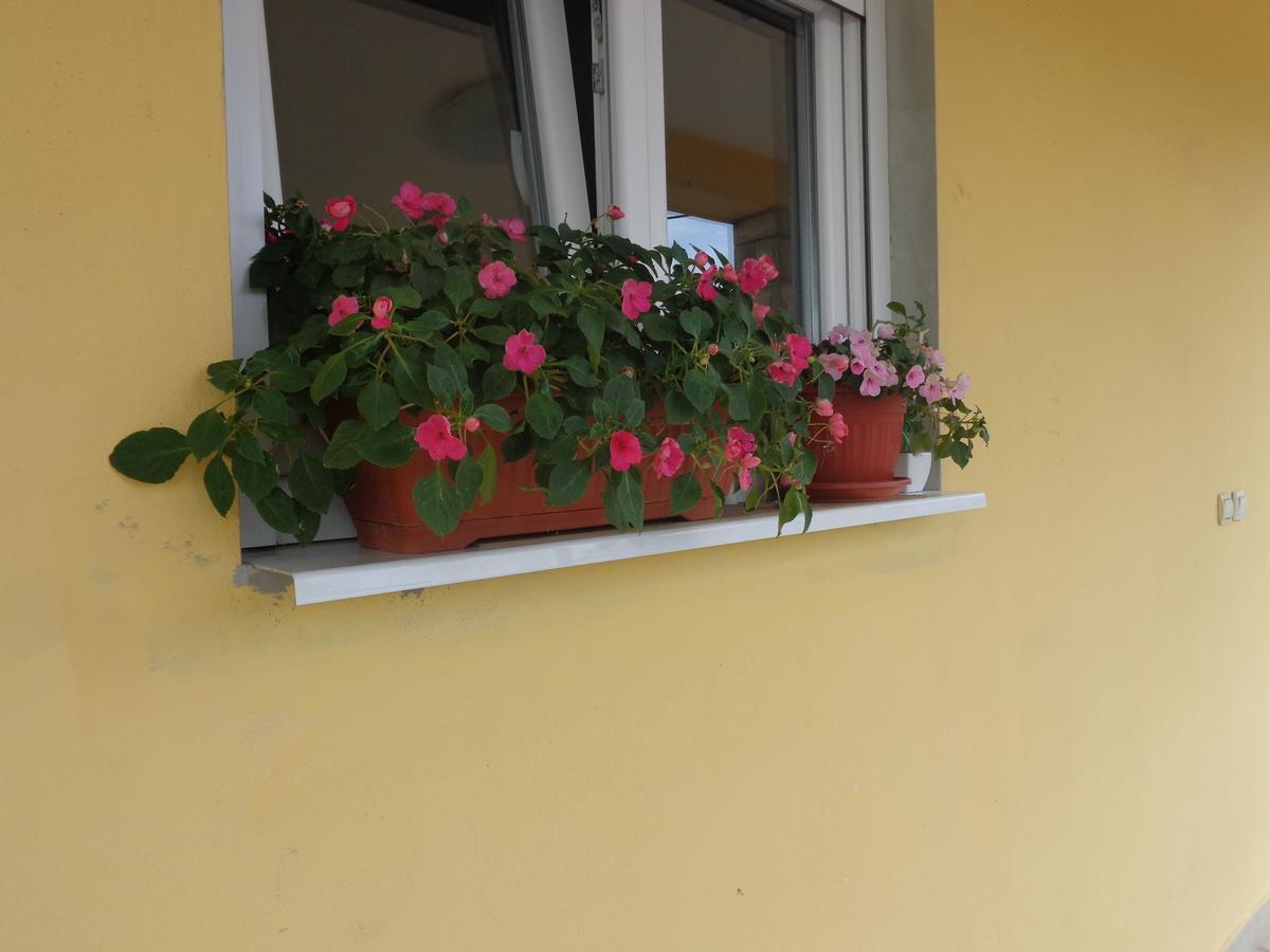 Guest House Ivana Tivat Exteriör bild